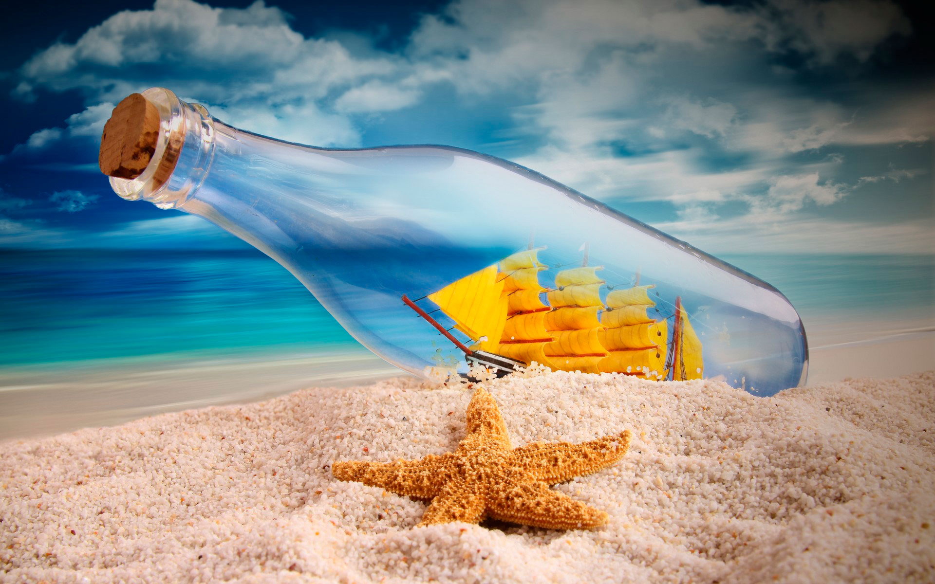 关于绝育前术后准备及注意事项