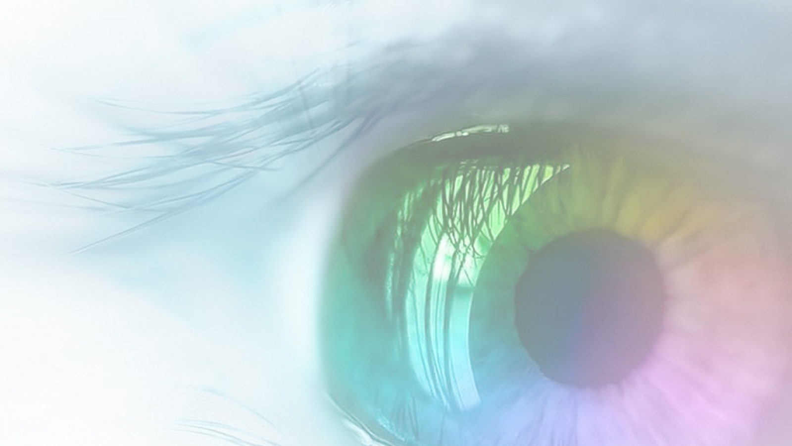 Window.open()方法参数详解